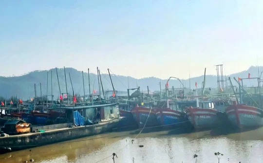 Thanh Hóa: Bước chuyển mạnh mẽ trong chống khai thác thủy sản bất hợp pháp