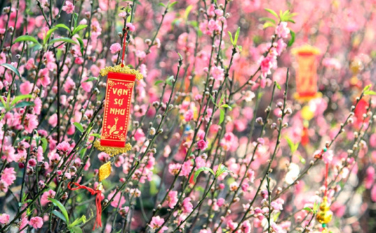 Phục vụ Nhân dân đón Tết Bính Ngọ 2026 an toàn, chu đáo