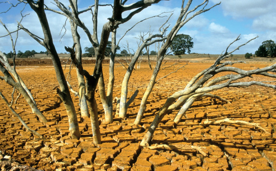 Chủ động trước xâm nhập mặn và cháy rừng khu vực phía Nam