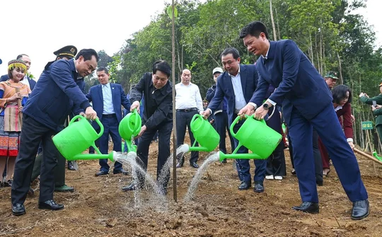 "Tết trồng cây đời đời nhớ ơn Bác Hồ” Xuân Bính Ngọ 2026