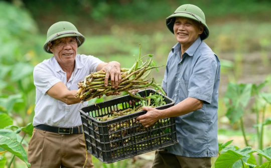 Khai mở tiềm năng ‘kinh tế bạc’ từ nguồn lực người cao tuổi Việt Nam*