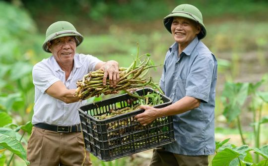Khai mở tiềm năng ‘kinh tế bạc’ từ nguồn lực người cao tuổi Việt Nam*