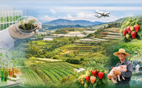 Chủ động nguồn giống chất lượng cao trong tái cơ cấu nông nghiệp: Thực tiễn Lâm Đồng và hàm ý cho Việt Nam