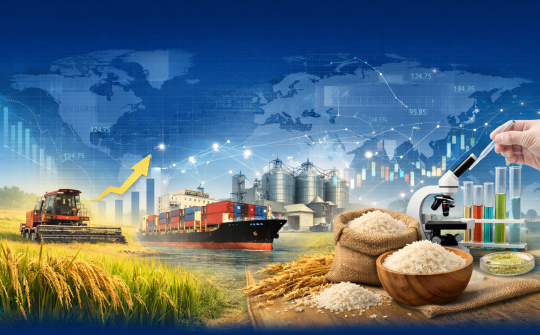 Điều hành sản xuất và tiêu thụ lúa gạo trước biến động thị trường lương thực toàn cầu