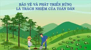 Quỹ Bảo vệ và Phát triển rừng tỉnh Điện Biên: Chung tay giữ màu xanh đại ngàn