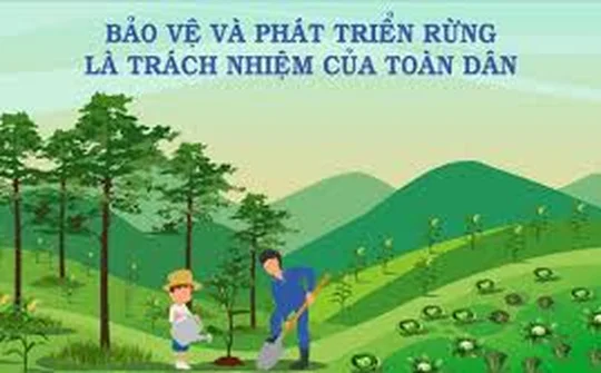 Quỹ Bảo vệ và Phát triển rừng tỉnh Điện Biên: Chung tay giữ màu xanh đại ngàn