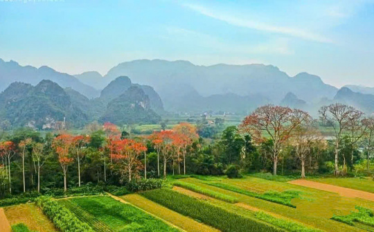 Anh Sơn - Điểm đến hấp dẫn từ chiều sâu lịch sử đến sắc màu lễ hội