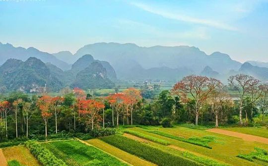 Anh Sơn - Điểm đến hấp dẫn từ chiều sâu lịch sử đến sắc màu lễ hội