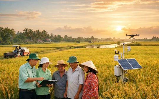 Phát huy vai trò khuyến nông trong Đề án 1 triệu ha lúa chất lượng cao, phát thải thấp