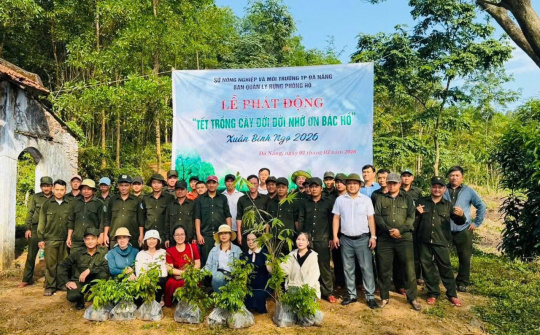 Ban Quản lý rừng phòng hộ Đà Nẵng: Nỗ lực kiến tạo nền tảng quản lý rừng bền vững trong bối cảnh mới