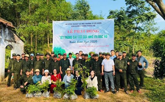 Ban Quản lý rừng phòng hộ Đà Nẵng: Nỗ lực kiến tạo nền tảng quản lý rừng bền vững trong bối cảnh mới