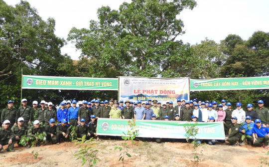 Giữ “lá phổi xanh” cho đô thị: Nỗ lực bền bỉ của Ban Quản lý rừng đặc dụng Đà Nẵng