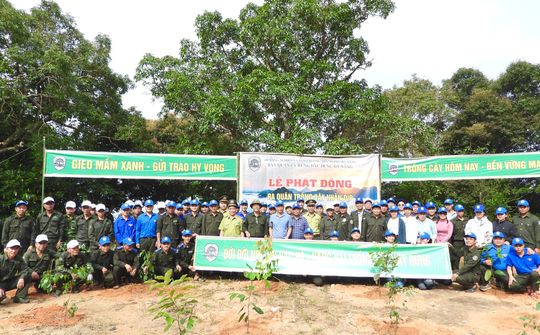 Giữ “lá phổi xanh” cho đô thị: Nỗ lực bền bỉ của Ban Quản lý rừng đặc dụng Đà Nẵng