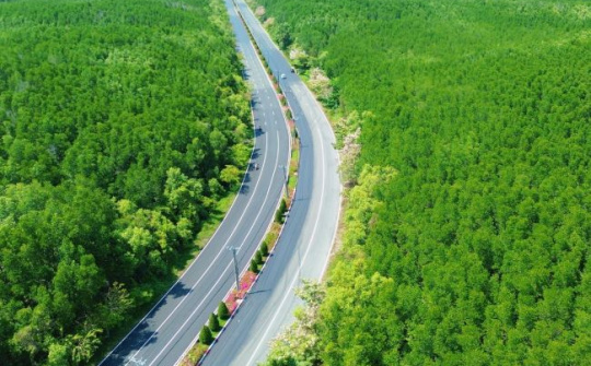 VnExpress Marathon Green Paradise Cần Giờ: Sống khỏe – sống xanh và khai mở điểm đến thể thao đẳng cấp quốc tế