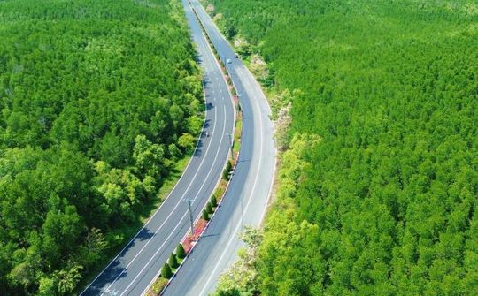 VnExpress Marathon Green Paradise Cần Giờ: Sống khỏe – sống xanh và khai mở điểm đến thể thao đẳng cấp quốc tế