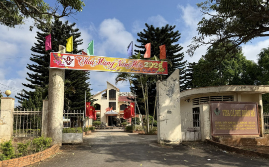 Nửa thế kỷ vun bồi “vàng xanh”: Hành trình bền bỉ của Công ty Cà phê Buôn Hồ trước ngưỡng cửa phát triển mới