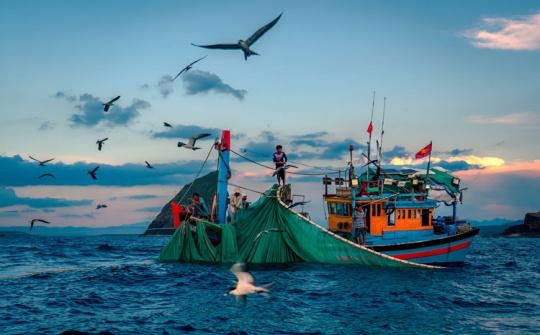 Gỡ thẻ vàng EC, thúc đẩy thủy sản hội nhập bền vững