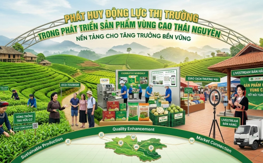 Phát huy động lực thị trường trong phát triển sản phẩm vùng cao Thái Nguyên: Nền tảng cho tăng trưởng bền vững