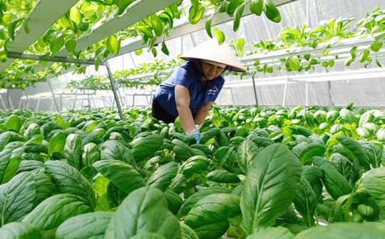 Phát triển kinh tế hợp tác xã, kinh tế xanh trên địa bàn Hà Nội – Thách thức và những vấn đề cần quan tâm