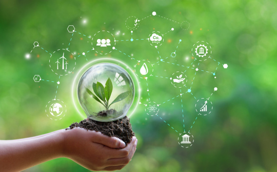 Chính sách, pháp luật và trách nhiệm pháp lý của doanh nghiệp đối với ô nhiễm môi trường