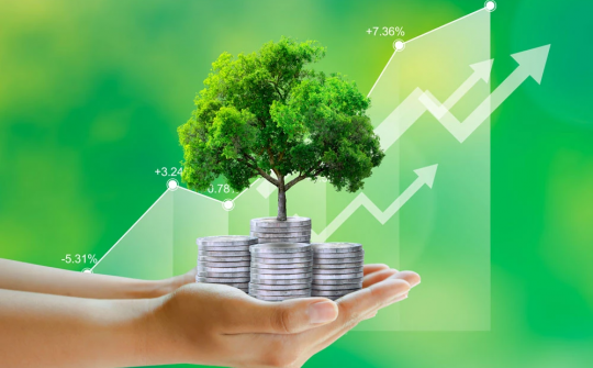 Phát triển kinh tế xanh gắn với kinh tế số là động lực cốt lõi tạo ra sức mạnh tổng hợp trong kỷ nguyên mới