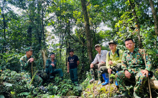 Tuyên Quang: Hành trình bền bỉ giữ rừng và kiến tạo giá trị xanh