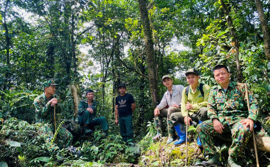 Tuyên Quang: Hành trình bền bỉ giữ rừng và kiến tạo giá trị xanh
