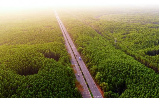 Khám phá cung đường chạy đẹp nhất Việt Nam: băng rừng di sản, xuyên “kỳ quan đô thị biển” tại Cần Giờ