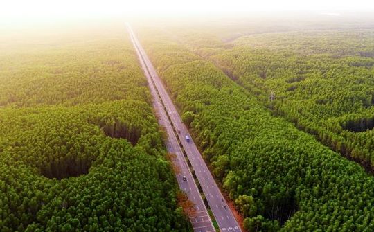 Khám phá cung đường chạy đẹp nhất Việt Nam: băng rừng di sản, xuyên “kỳ quan đô thị biển” tại Cần Giờ