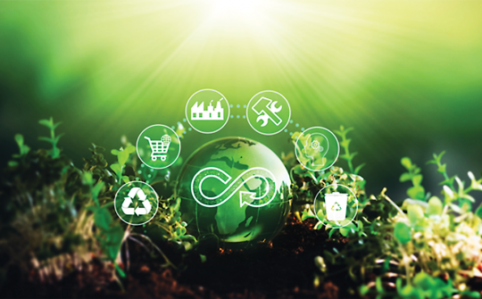 Kiến tạo hệ sinh thái tuần hoàn: Trách nhiệm tái chế sản phẩm dưới góc nhìn Nghị định 110