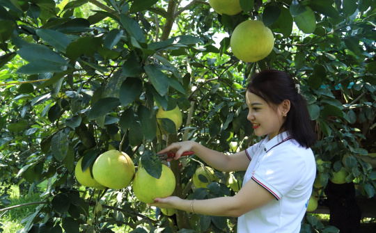 Nông thôn mới Hà Tĩnh: Điểm tựa hội nhập và cất cánh