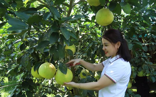 Nông thôn mới Hà Tĩnh: Điểm tựa hội nhập và cất cánh