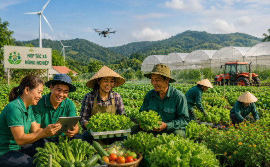 Tạo động lực cho hợp tác xã nông nghiệp: Nền tảng then chốt thúc đẩy phát triển nông nghiệp bền vững