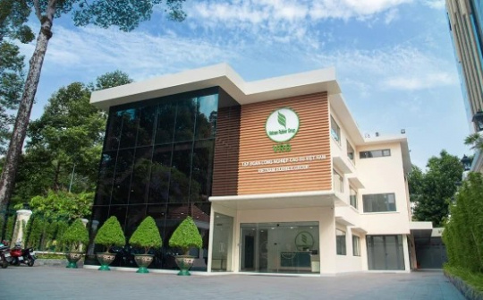 Đảng bộ Tập đoàn công nghiệp cao su Việt Nam: “Xương sống” của hành trình phát triển toàn diện