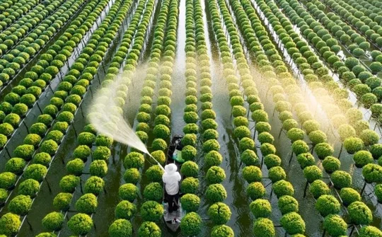 Đẩy mạnh sản xuất, nâng cao thu nhập khu vực nông thôn – Động lực xây dựng nông thôn mới bền vững