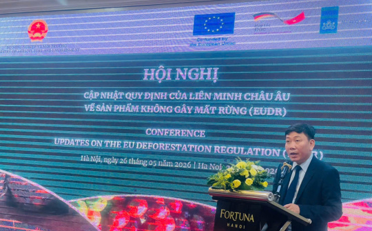 EU đơn giản hoá thủ tục khai báo: Doanh nghiệp Việt Nam cần phải làm gì
