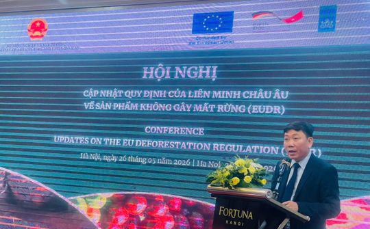 EU đơn giản hoá thủ tục khai báo: Doanh nghiệp Việt Nam cần phải làm gì