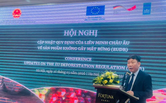 EU đơn giản hoá thủ tục khai báo: Doanh nghiệp Việt Nam cần phải làm gì