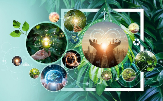 Bản chất pháp lý của tài sản công: Cơ sở lý luận và yêu cầu hoàn thiện thể chế quản lý tài sản công hiện nay