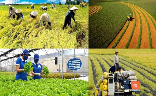 Phát triển hệ thống tiêu chuẩn kỹ thuật cho trồng trọt giảm phát thải: Điều kiện thúc đẩy nông nghiệp sinh thái