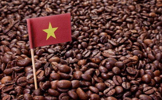 Tái định hình ngành cà phê Việt Nam từ tăng trưởng sản lượng sang nâng cao giá trị xuất khẩu và phát triển bền vững