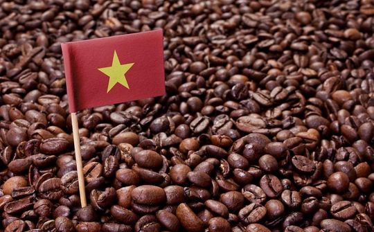 Tái định hình ngành cà phê Việt Nam từ tăng trưởng sản lượng sang nâng cao giá trị xuất khẩu và phát triển bền vững