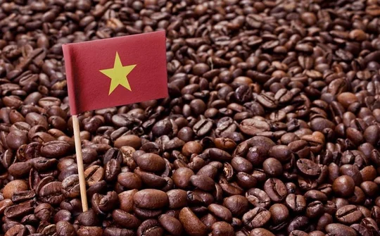 Tái định hình ngành cà phê Việt Nam từ tăng trưởng sản lượng sang nâng cao giá trị xuất khẩu và phát triển bền vững