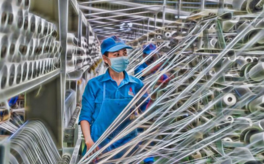 Biến động giá nguyên liệu và vấn đề nâng cao năng lực chống chịu trong phát triển ngành sợi Việt Nam