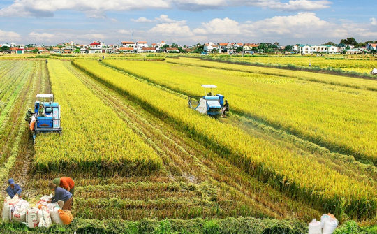 Phát triển cơ giới hóa nông nghiệp: Động lực thúc đẩy hiện đại hóa nông nghiệp Đắk Lắk giai đoạn 2026-2030