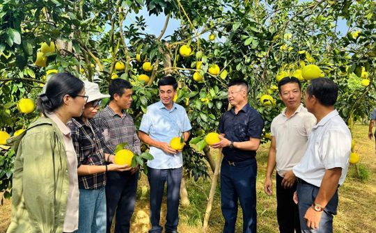 Tạp chí Việt Nam Hội nhập - Người bạn đồng hành cùng khuyến nông Hà Tĩnh