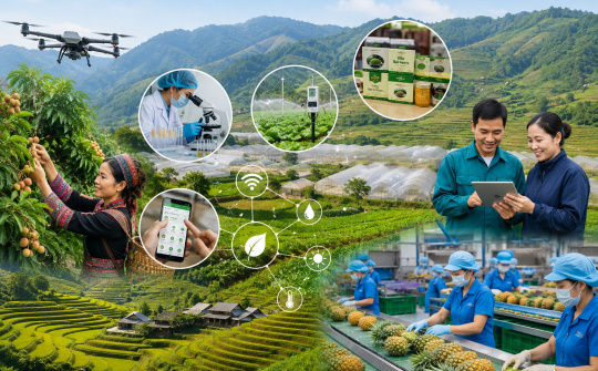 Ứng dụng khoa học, công nghệ theo chuỗi giá trị: Đòn bẩy nâng tầm nông nghiệp, tạo sinh kế bền vững