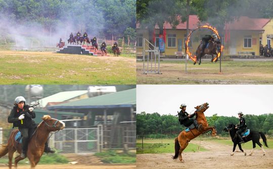 Hành trình trở về của những chiến mã thảo nguyên, vun đắp tình hữu nghị Việt Nam - Mông Cổ