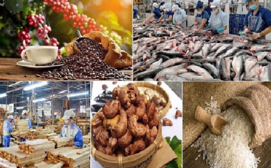 Thích ứng với các đạo luật mới của EUDR: Định hình lại chuỗi giá trị nông sản chế biến sâu