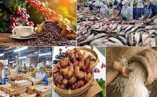 Thích ứng với các đạo luật mới của EUDR: Định hình lại chuỗi giá trị nông sản chế biến sâu